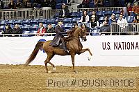 09usn-08108 proof