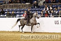 09usn-08111 proof
