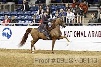 09usn-08113 proof