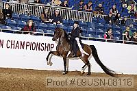 09usn-08116 proof