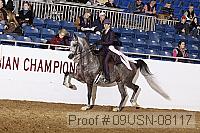 09usn-08117 proof