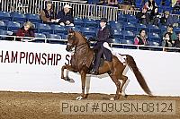 09usn-08124 proof