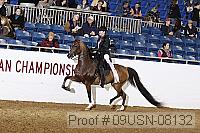 09usn-08132 proof