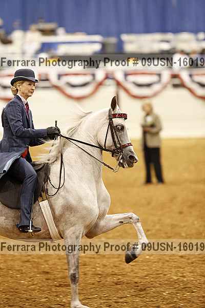 Proof 09usn-16019