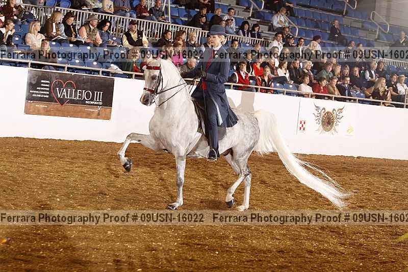 Proof 09usn-16022