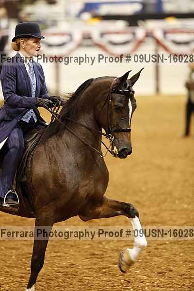 Proof 09usn-16028