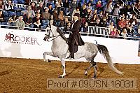 09usn-16031 proof