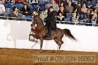 09usn-16062 proof