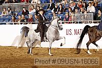 09usn-16066 proof