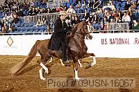 09usn-16067 proof