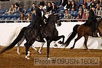 09usn-16082 proof