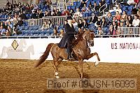 09usn-16093 proof