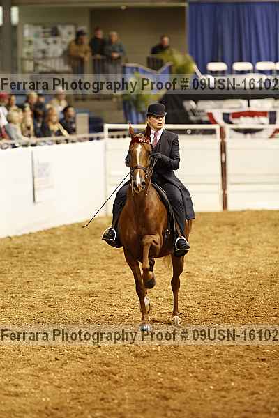 Proof 09usn-16102