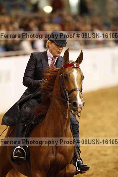 Proof 09usn-16105