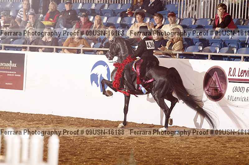 Proof 09usn-16188