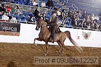 09usn-12297 proof
