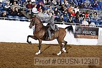 09usn-12310 proof