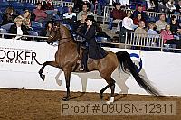 09usn-12311 proof