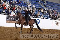 09usn-12312 proof