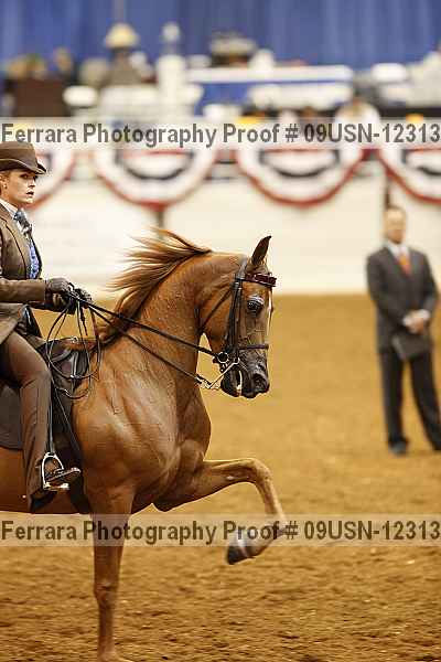 Proof 09usn-12313