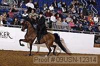 09usn-12314 proof