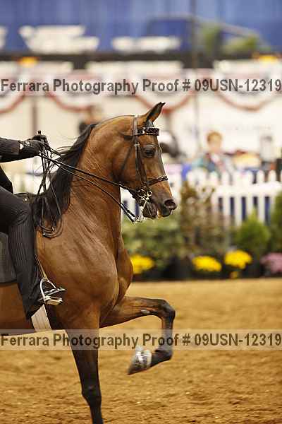 Proof 09usn-12319
