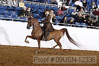 09usn-12336 proof