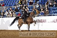 09usn-12342 proof