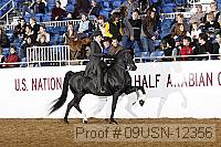 09usn-12356 proof