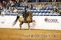 09usn-12363 proof