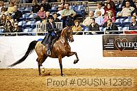09usn-12368 proof