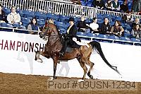 09usn-12384 proof
