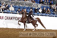 09usn-12386 proof