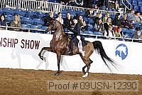 09usn-12390 proof