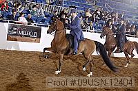 09usn-12404 proof