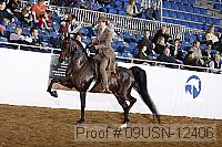 09usn-12406 proof