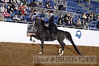 09usn-12408 proof