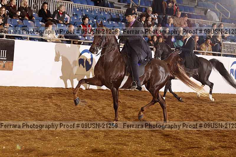 Proof 09usn-21259