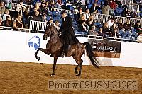 09usn-21262 proof