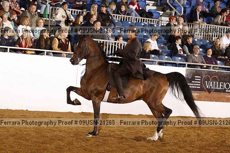Proof 09usn-21265