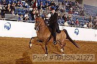 09usn-21272 proof