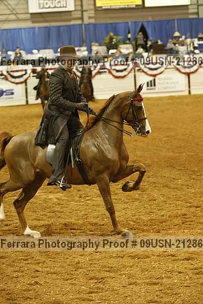 Proof 09usn-21286