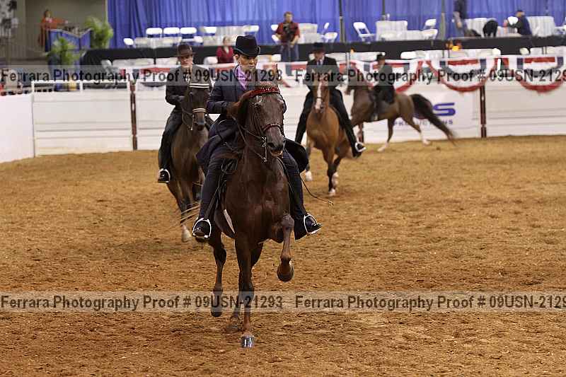 Proof 09usn-21293