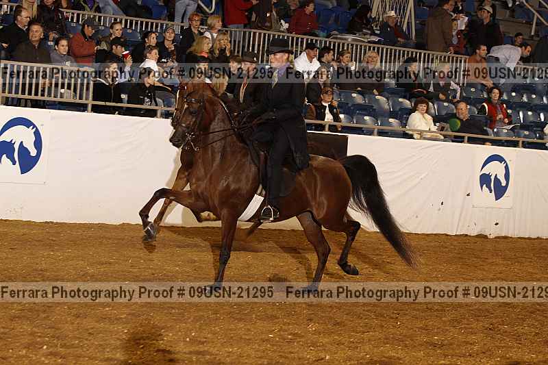 Proof 09usn-21295