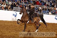 09usn-21297 proof