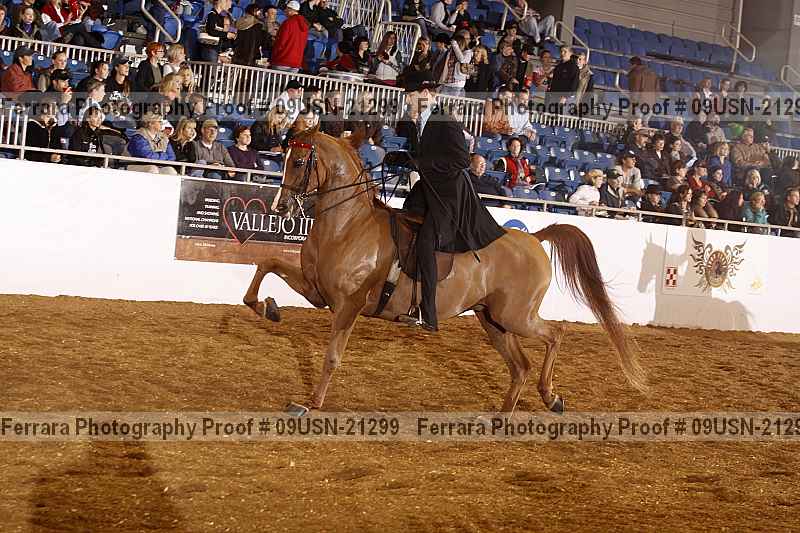 Proof 09usn-21299