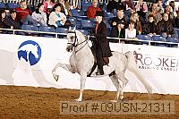 09usn-21311 proof