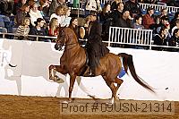 09usn-21314 proof