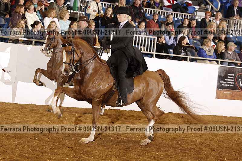 Proof 09usn-21317