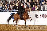 09usn-21329 proof